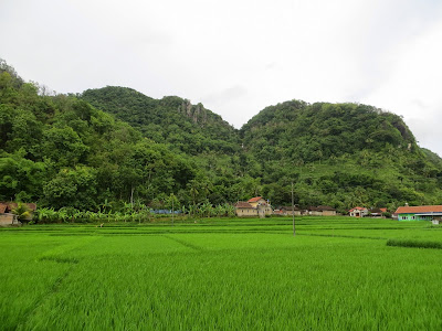 Desa Kedung Miri
