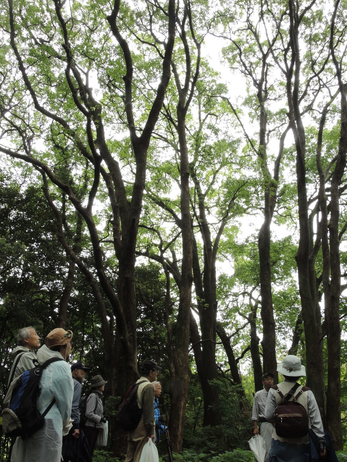 2 つの重みと 2 つのメジャー