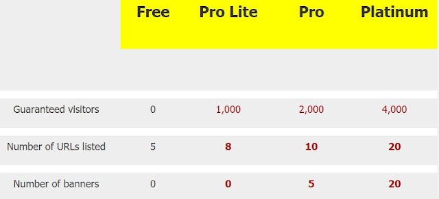 membership upgrade membership traffic ad bar