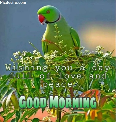 Download Best 15 Gud morning Msg for Whatsapp Download Best 15 Gud morning Msg for Whatsapp