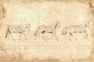 Equine print by C. Twomey