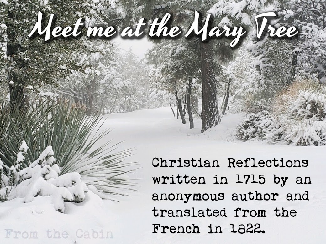 Meet Me at The Mary Tree