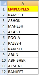 How to Make Custom List in Excel in Hindi