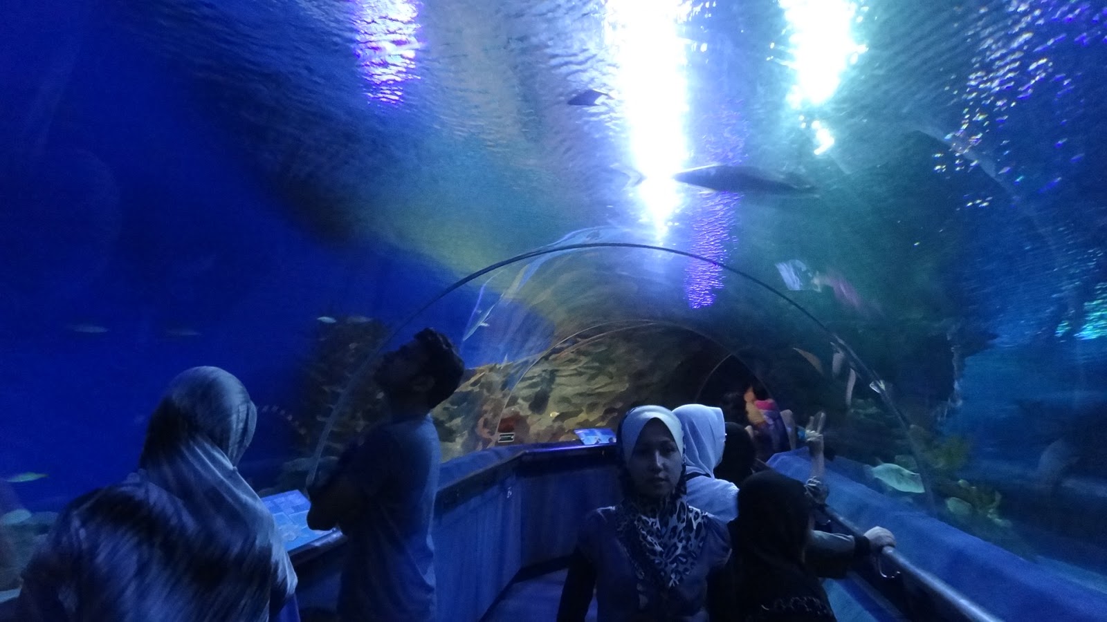 564 Sepetang Di Aquaria KLCC dan aku menulis untuk diri sendiri