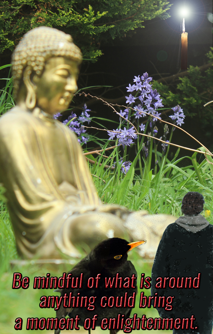 Zen, Meditation and Hypnotherapy A Master of Enlightenment