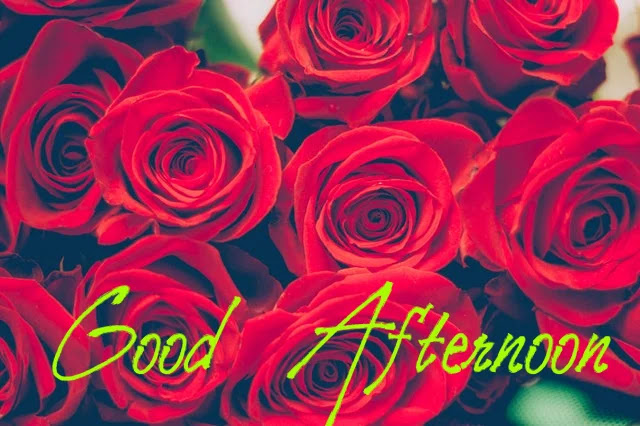 Good Afternoon HD Image Good Afternoon HD Image
