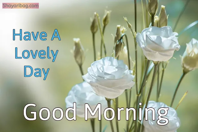 Good Morning with Flowers Good Morning with Flowers