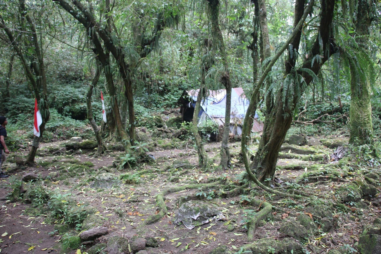 Situs Petilasan Prabu Siliwangi Puncak Gunung Tampomas