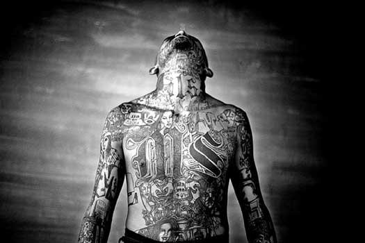 Welcome ~Lucy's~ to the Truth: Worlds Dangerous Gang MS-13