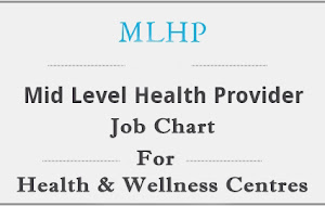 Mlhp Job Responsibilities. - Appmcea