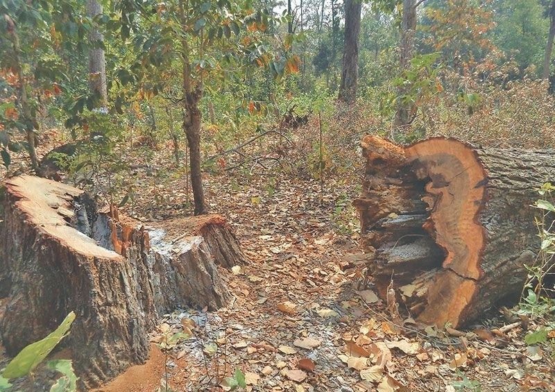 Image result for à¤¸à¤¿à¤¦à¥à¤§à¤¾à¤°à¤¾ ARGHAKHANCHI