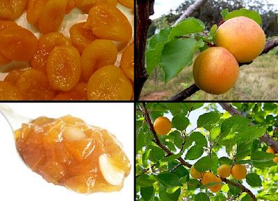 kayısı, kayısının faydaları, kayısı nelere iyi gelir, kayısının yararı nedir, apricot