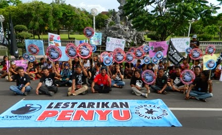 Eksploitasi Penyu untuk Pariwisata di Bali Dikecam