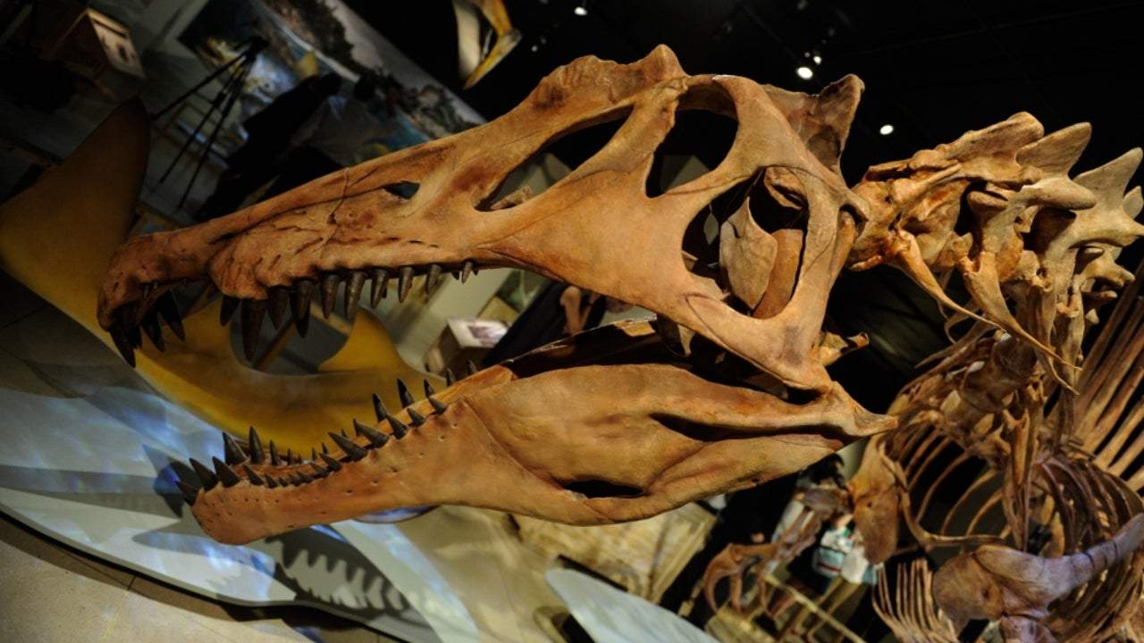 Towering Dinosaur With Radioactive Skull Identified in Utah Geology In