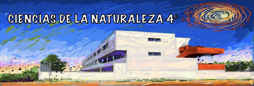 C. NATURALEZA 4º
