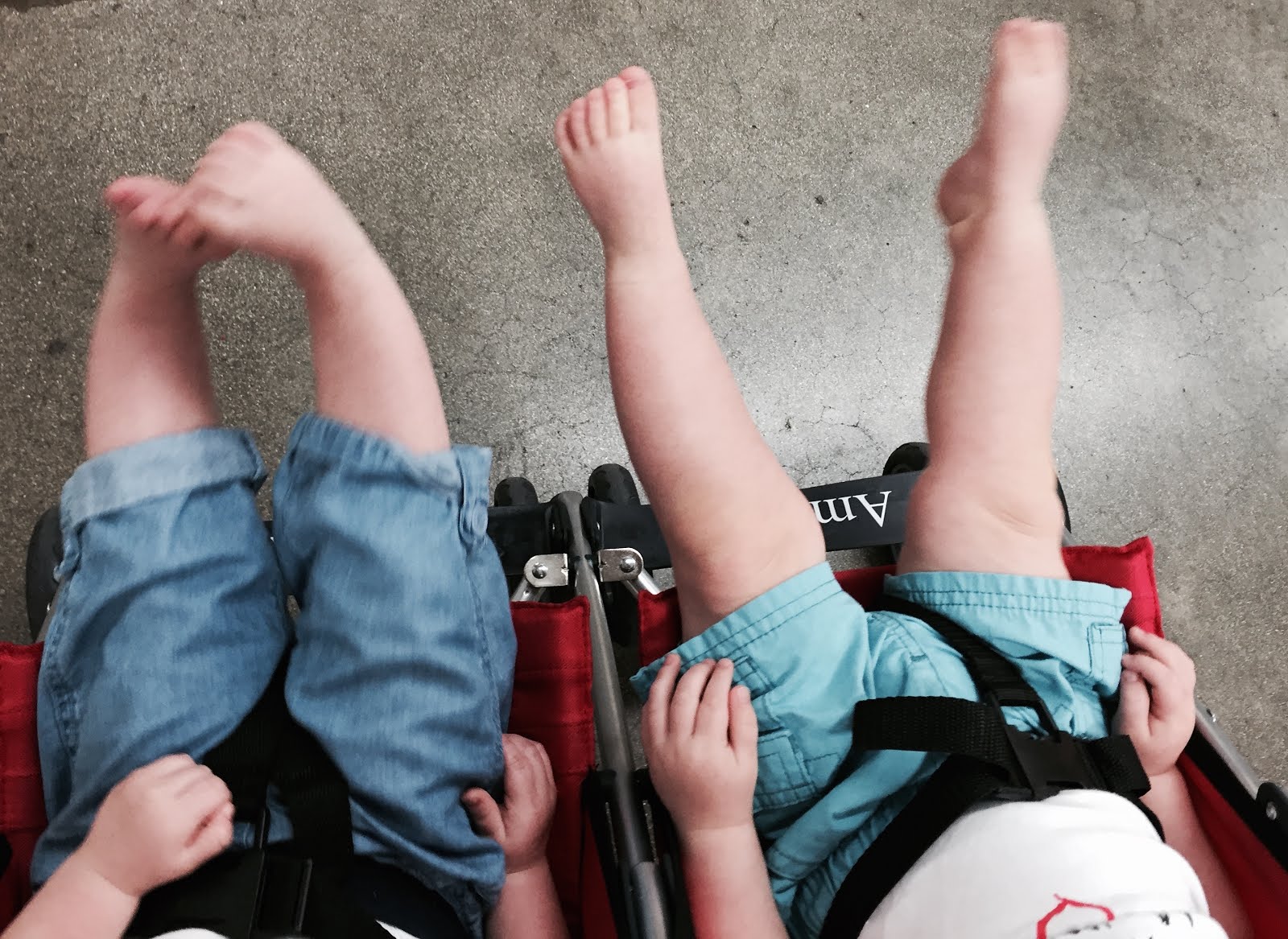 Four Legs Kicking Four Legs Kicking