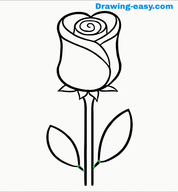 How to draw a Rose flower step by step easy