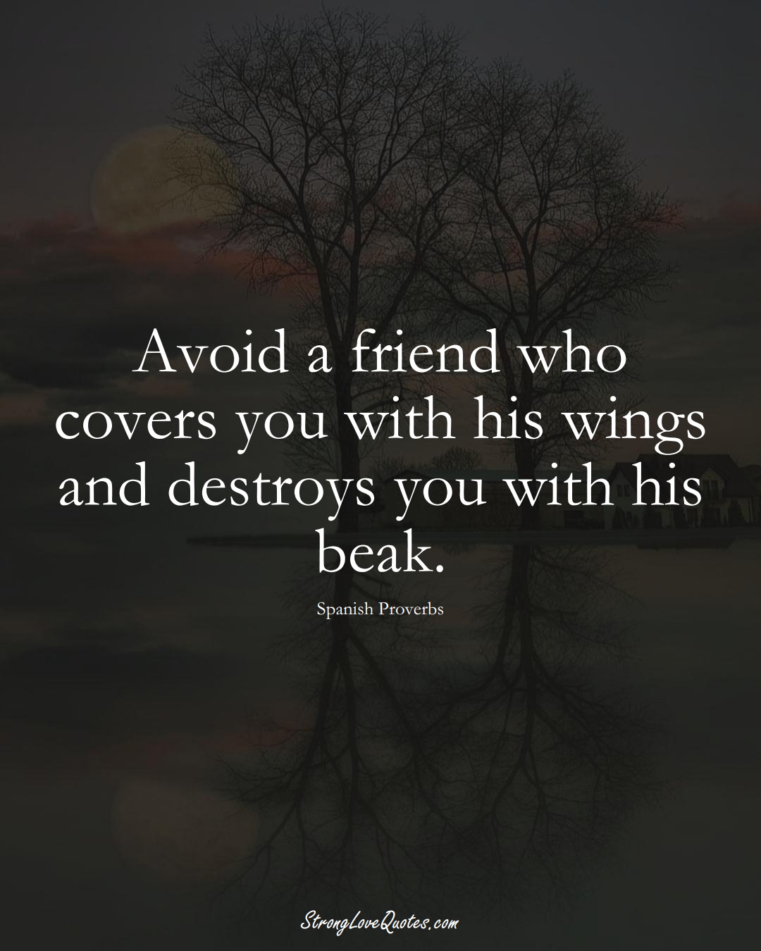 Avoid a friend who covers you with his wings and destroys you with his beak. (Spanish Sayings);  #EuropeanSayings