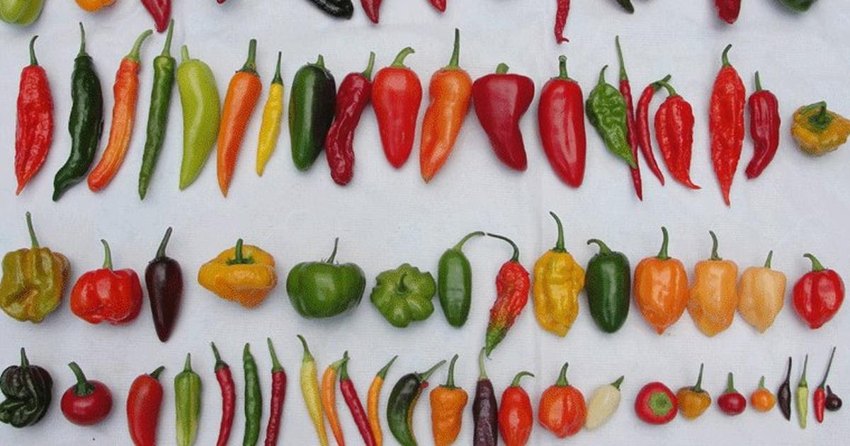 HEALTH BENEFITS OF EATING PEPPERS