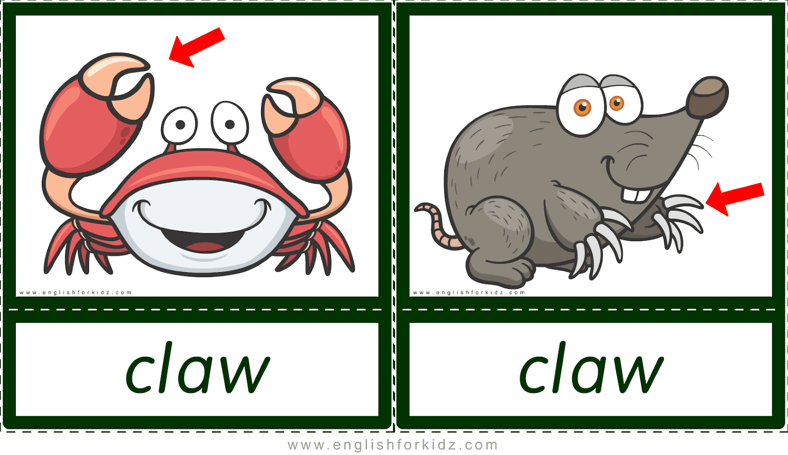 Printable Flashcards Animal Body Parts. Part 1.