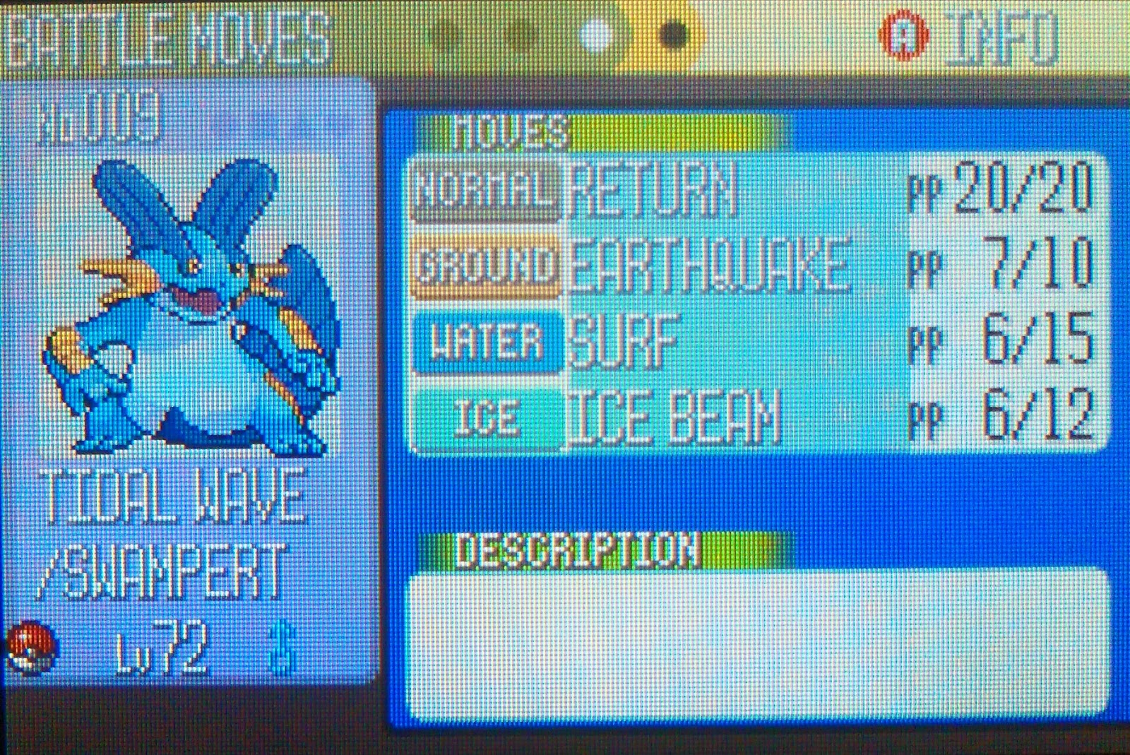 The best team for Pokemon Emerald with Swampert