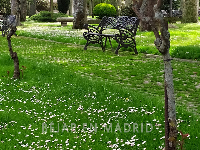 El parque de La Corredera nos deja una sorprendente imagen por el COVID19 - 25 de abril de 2020