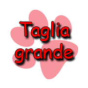 Taglia grande