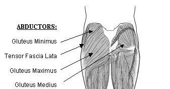 Fitness and Injury Recovery for Graceful Movement: Developing a strong