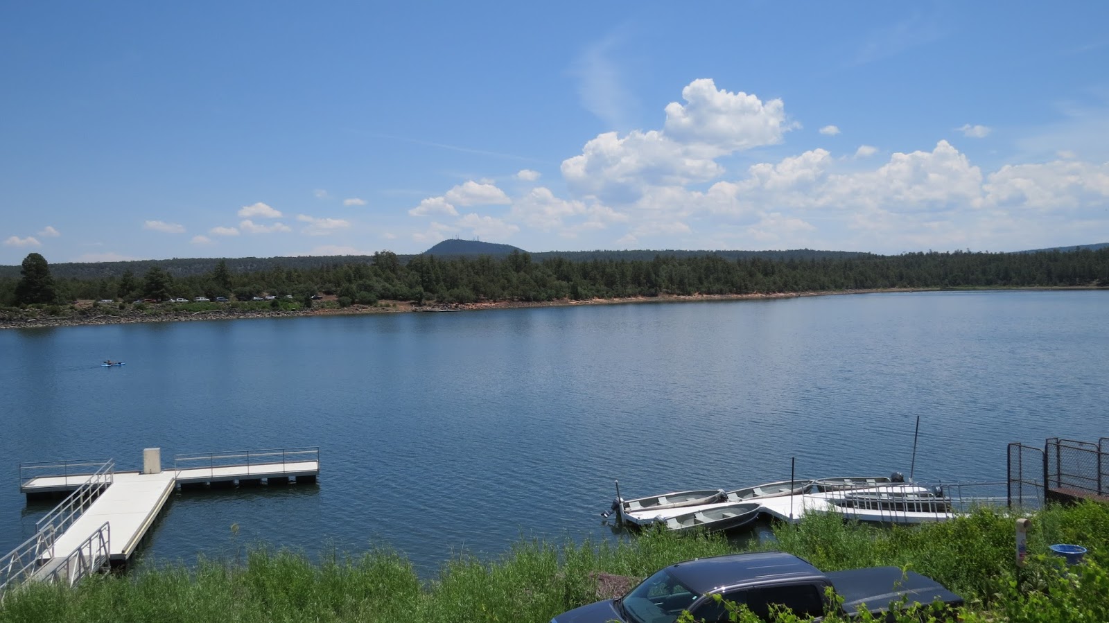 Moms Little Run Away Show Low Lake