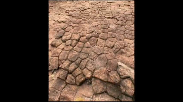 Giant Snake Scale Stone