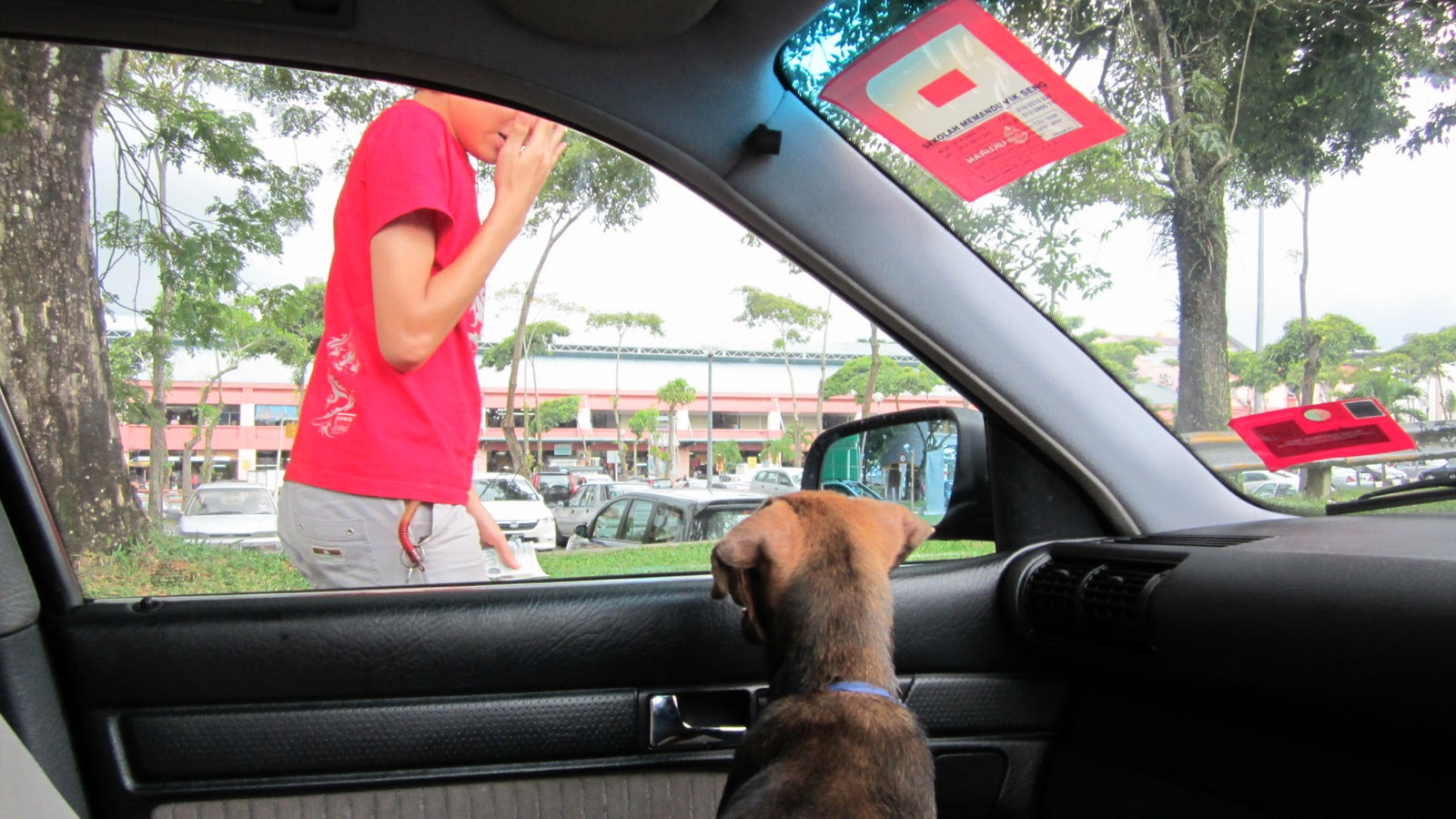 Spiritlane The Puppy Ace rides home for the last time