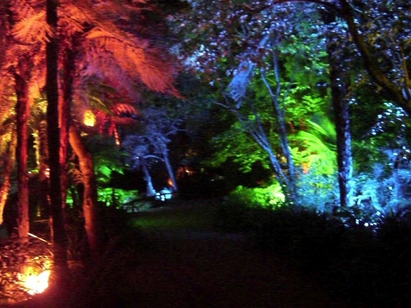 Beautiful New Zealand Festival of Lights