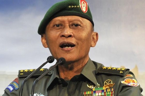 Kata Mantan KSAD: TNI yang Garang di Kota, di Hutan Jadi Kucing