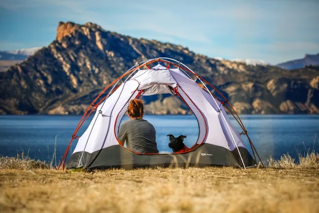 81 Wonderful Camping Blog Names