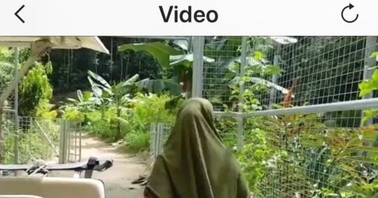 Ubat Darah Tinggi Bukan Punca Rosak Buah Pinggang.  SoZCyili