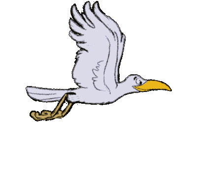 Burung burung Burung burung