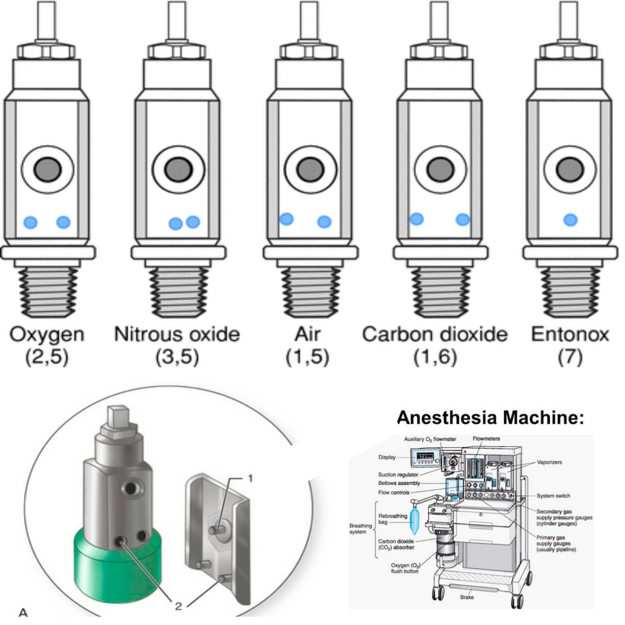 anesthesia questions and answers pdf Mr SHYAM