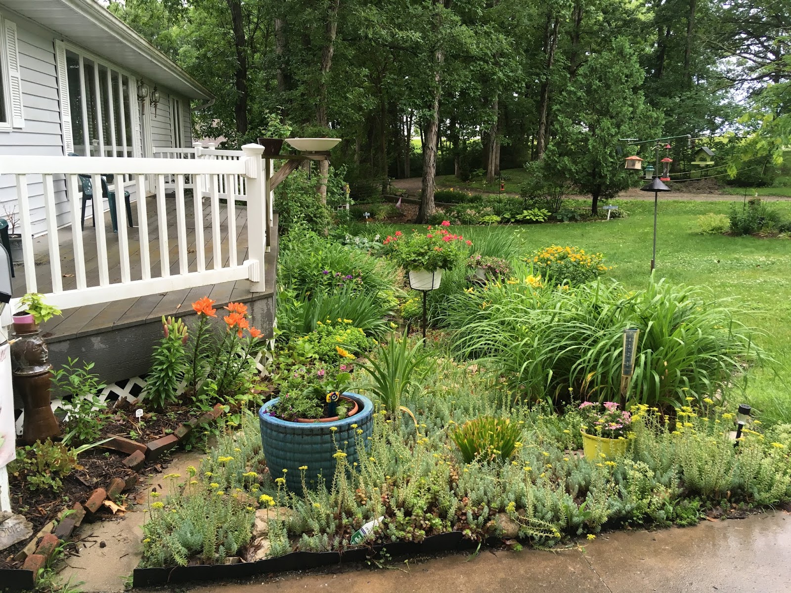 Does Everything Grow Better in My Neighbor's Yard?