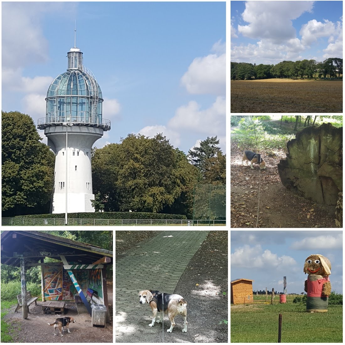 Nach Dem Sprung Ist Vor Dem Sprung Der Deutsche Meister Im Big