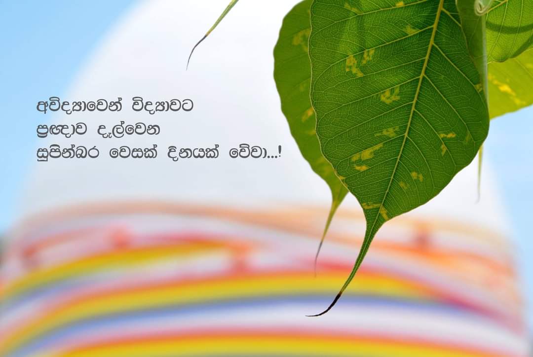 Sinhala wesak greetings වෙසක් ආසිරි Wesak cards Sinhala wesak