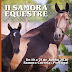 2a edição de Samora Equestre de 19 a 21 de Junho