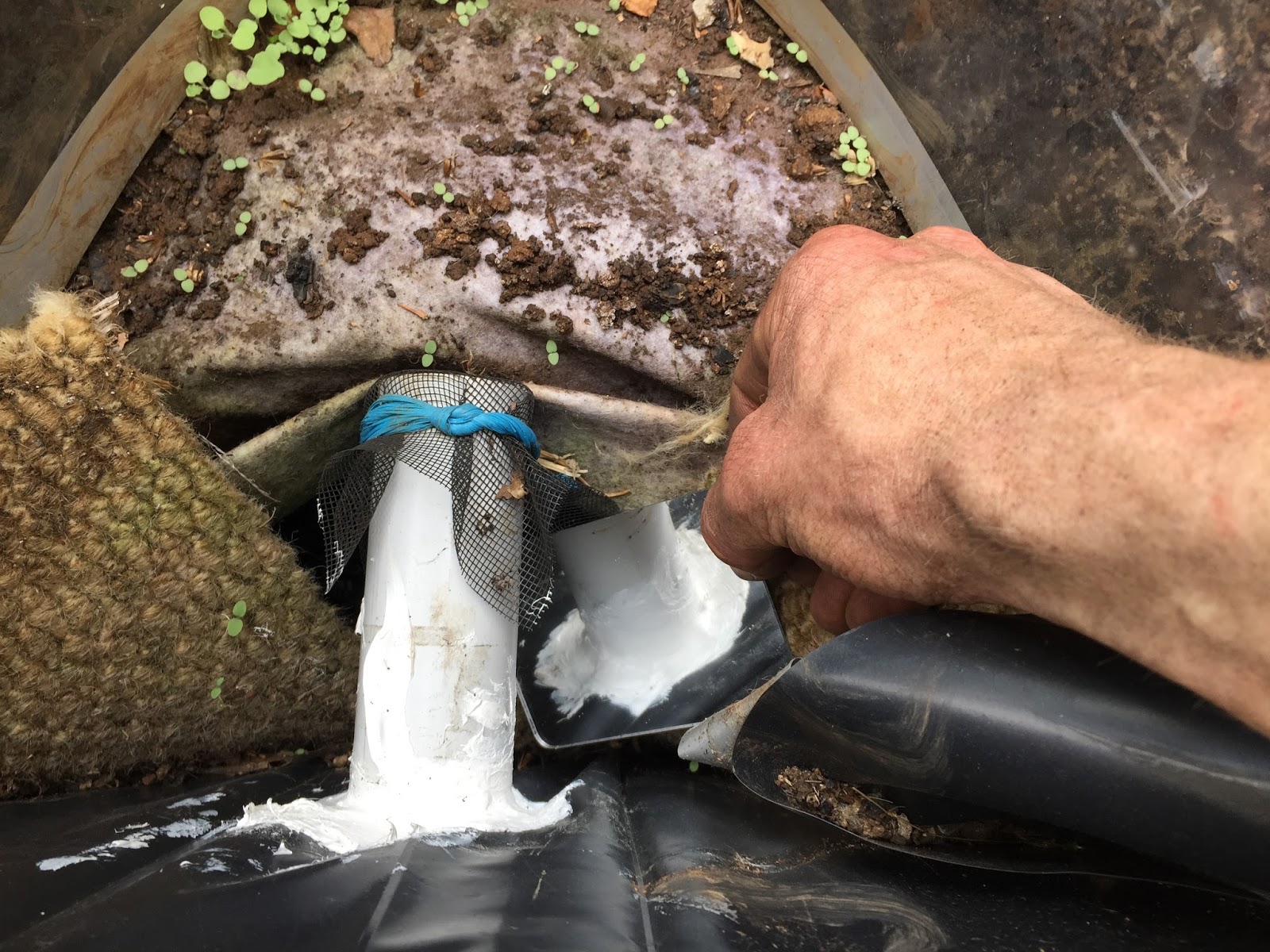 Nedly on his Treadly Wicking Bed Construction
