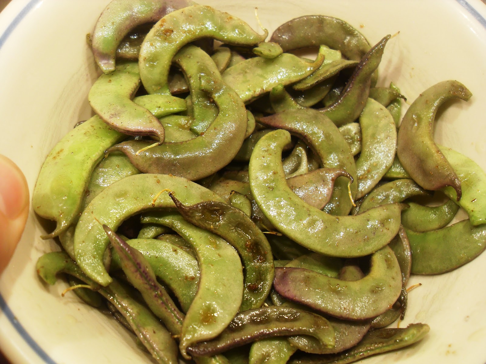 The Scientific Gardener Purple Hyacinth Bean