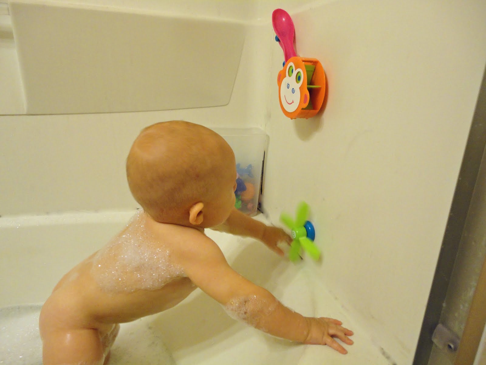 Pleasant Dreams Farm Splish splash Jericho's taking a bath!