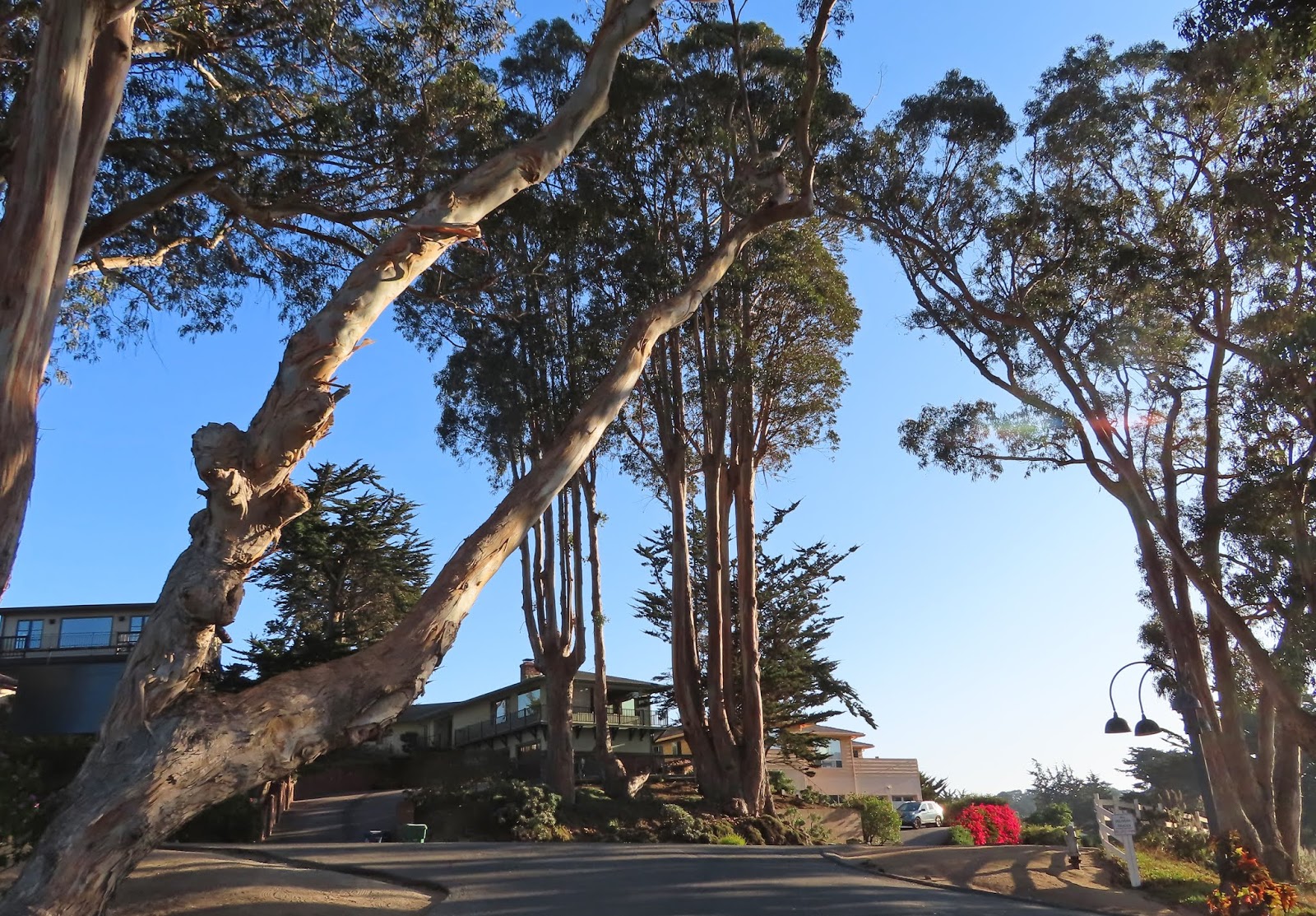 Carmel by the Sea Mission Ranch, Mission Trails Park, Mission Basilica