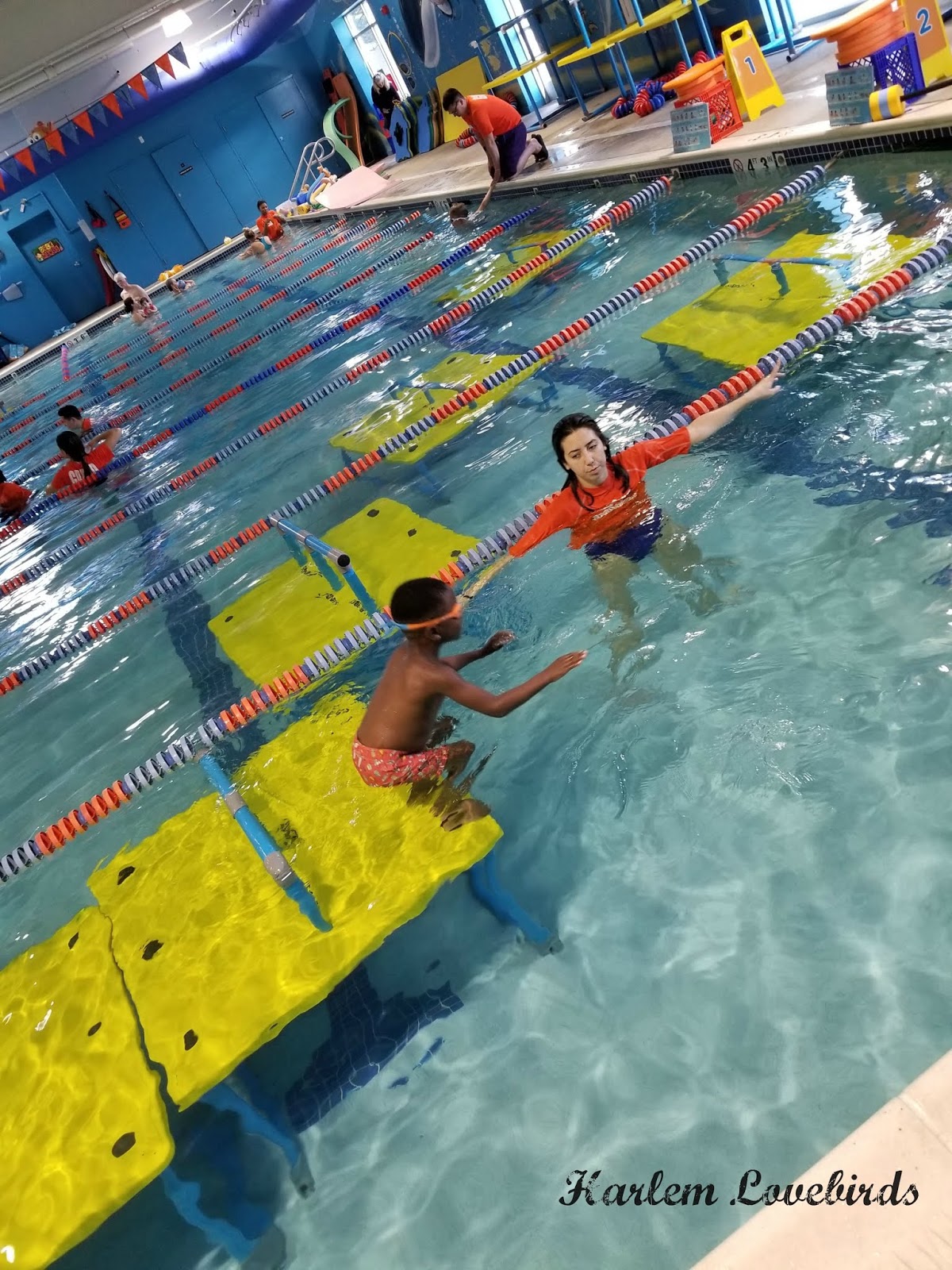 Harlem Lovebirds 4 Reasons Why We Love Goldfish Swim School Needham