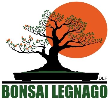 Associazione DLF Bonsai Legnago
