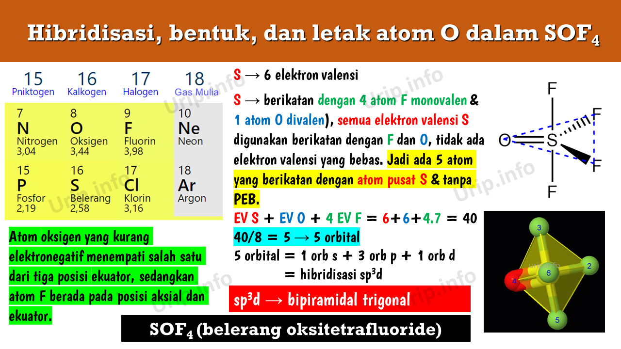 Menentukan Jenis Hibridisasi, Bentuk Molekul dan Letak Atom O dalam