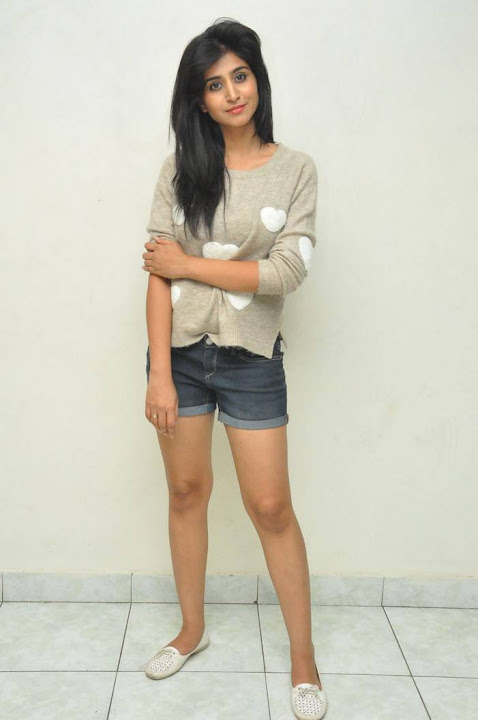 Shamili Photos At Swachh Hyderabad Cricket Match Press Meet