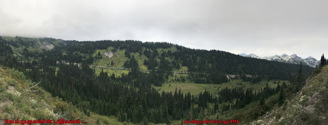 Paradise Valley in Mount Rainier National Park